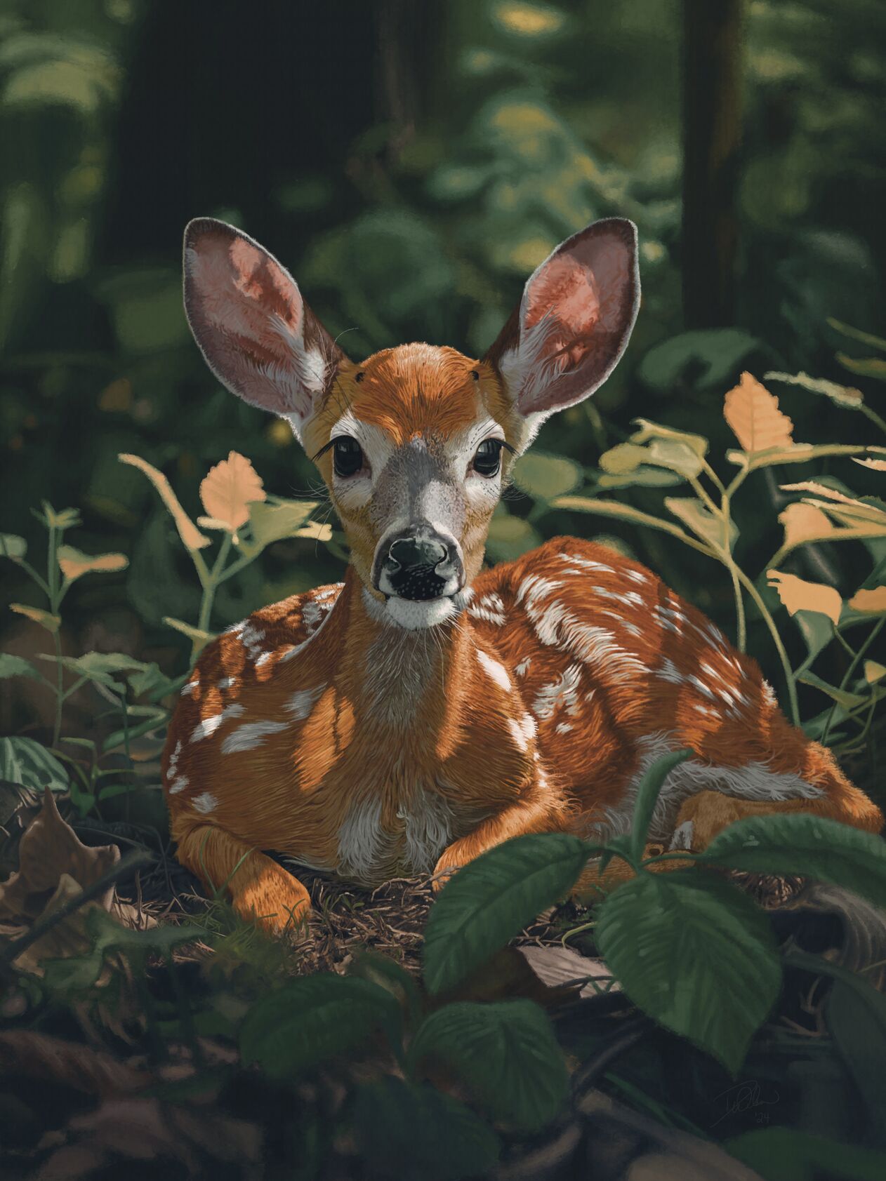 A low angle, shallow depth of field shot of a whitetail deer fawn sitting in a thick forest in dappled light